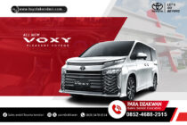 All New Voxy